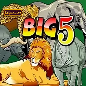 big 5 free slot