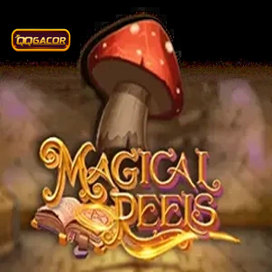 magical reels